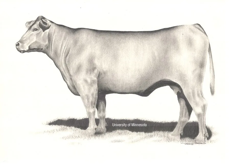 BCS 5 &ndash; Moderate_Univ Minnesota.png